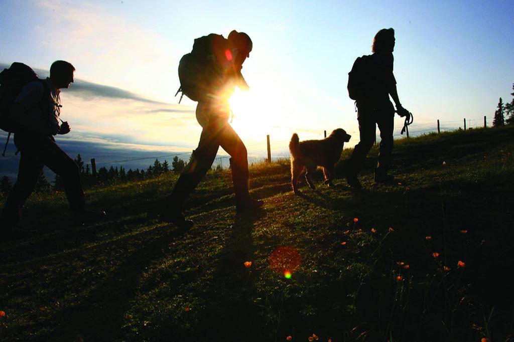Wohlfuehlpension Kreischberg Inklusive Murau Sommergaestecard Ab 2 Naechte Sankt Georgen ob Murau Exterior foto